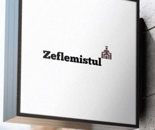 cropped-logo-zeflemistul_3_1.jpg