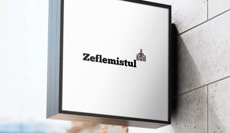 logo-zeflemistul_3_1